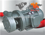 1W系列1W系列直连式单级旋涡泵，海坦旋涡泵，永嘉旋涡泵
