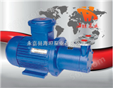 CWB型CWB型磁力驱动旋涡泵，管道磁力泵，高温磁力泵