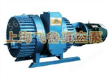 罗茨真空泵ZJ系列-罗茨真空泵（中国 上海 生产厂家）