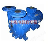 水环式真空泵2BV型-水环式真空泵（中国 上海 生产厂家）