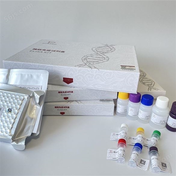 供应结合蛋白ELISA试剂盒实验步骤
